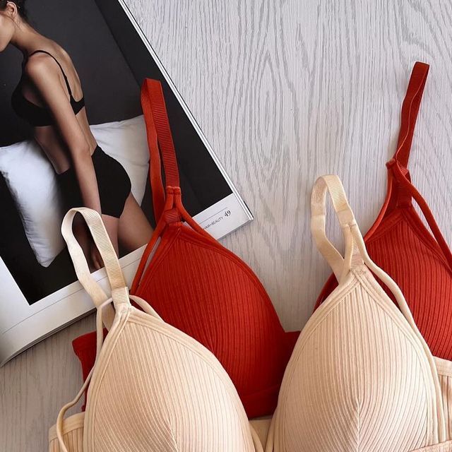 Cheezy Triangle shape Push-up Lingerie (Pack of 3)